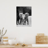 Poster Éléphant Bébé Faune Noir et Blanc (Cuisine)