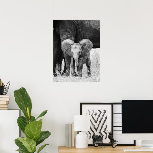 Poster Éléphant Bébé Faune Noir et Blanc (Bureau à domicile)