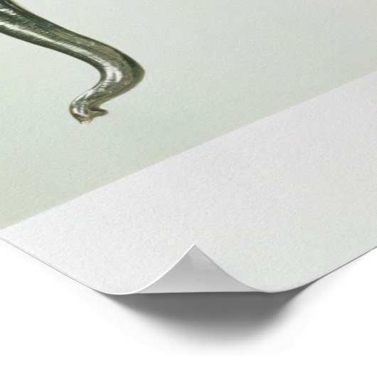 Poster Eléphant blanc (Coin)