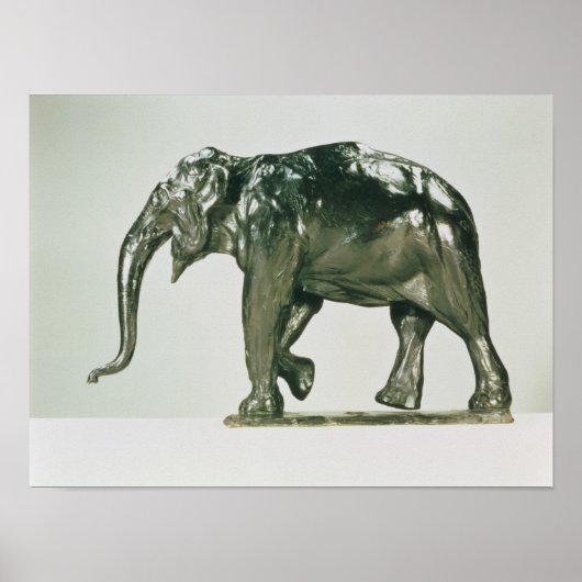 Poster Eléphant blanc (Devant)