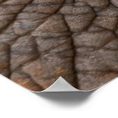 Poster éléphant Brown en gros plan (Coin)