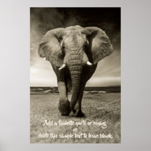 Poster Éléphant Citation facultative, dire, texte