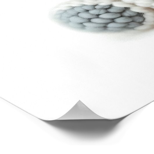 Poster éléphant crochet grove (Coin)