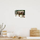 Poster éléphant d'Afrique animal (Cuisine)