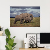 Poster Éléphant d'Afrique bébé avec famille (Bureau à domicile)