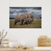 Poster Éléphant d'Afrique bébé avec famille (Cuisine)