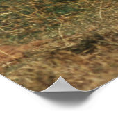 Poster Eléphant de Bush en Afrique (Coin)