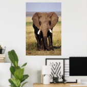 Poster Eléphant de Bush en Afrique (Bureau à domicile)