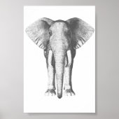 Poster Eléphant en noir et blanc (Devant)