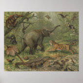 Poster Elephant et amis animaux (Devant)