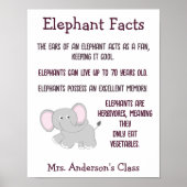 Poster Eléphant - Faits (Devant)