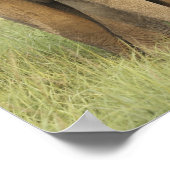 Poster Eléphant indien / asiatique et jeune, Corbett (Coin)