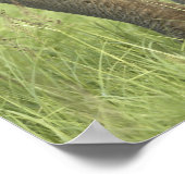 Poster Eléphant indien / asiatique et jeune, Corbett 2 (Coin)