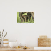 Poster Eléphant indien / asiatique et jeune, Corbett 2 (Cuisine)