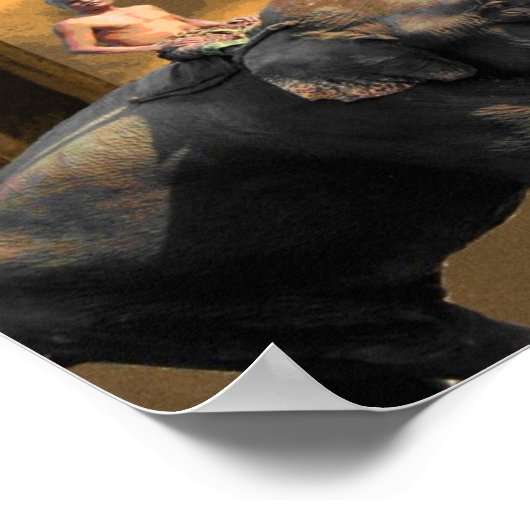 Poster Elephant indien et cavalier (Coin)