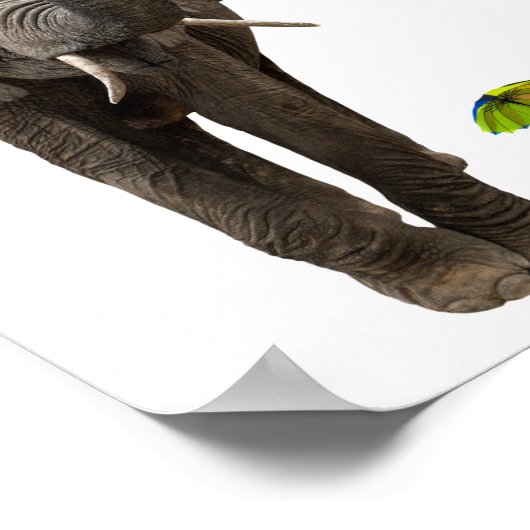 Poster Elephant & Mouse (Coin)