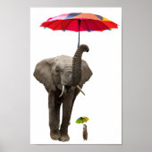 Poster Elephant & Mouse (Devant)