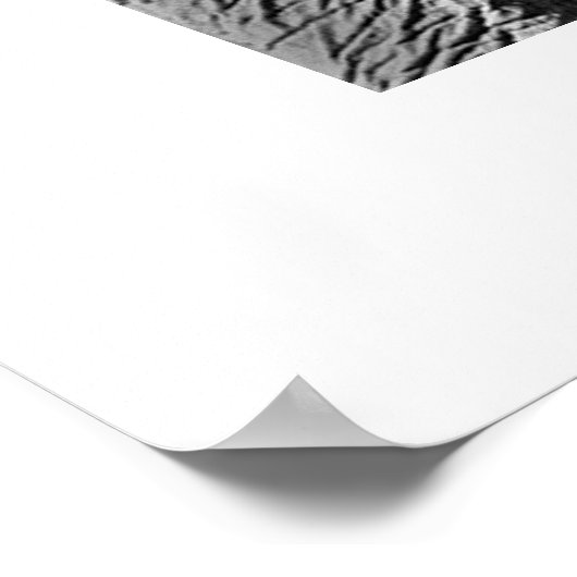 Poster Eléphant n° 1 (Coin)