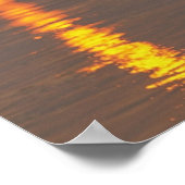 Poster Elephant, Parc national de Chitwan, Népal (Coin)