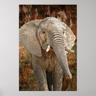 Poster Eléphant peinture art africain énorme taille