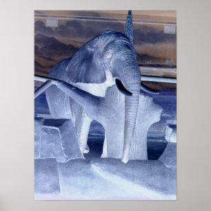 Poster Eléphant Pop Art