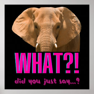Poster Éléphant Qu'est-ce que vous venez de dire?
