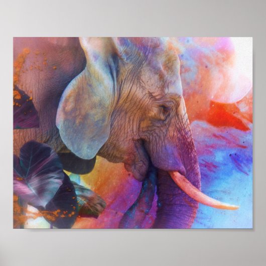 POSTER ÉLÉPHANT RAPPELANT LES EAUX SACRÉES (Devant)