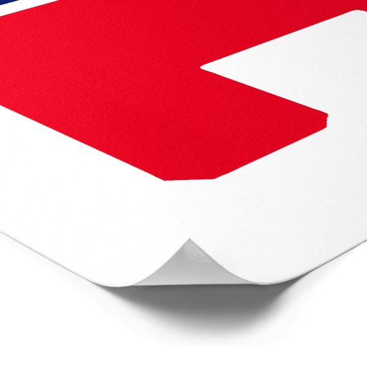 Poster Eléphant républicain (Coin)