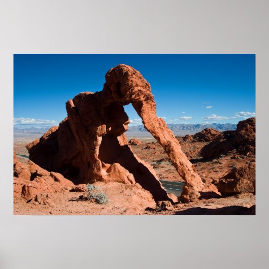 Poster Elephant Rock (Devant)