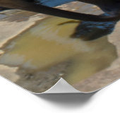 Poster Éléphant Sri Lanka (Coin)