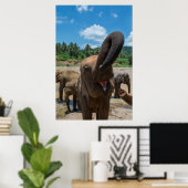 Poster Éléphant Sri Lanka (Bureau à domicile)