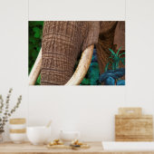Poster Elephant Tend Mon Jardin (Cuisine)