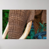 Poster Elephant Tend Mon Jardin (Devant)