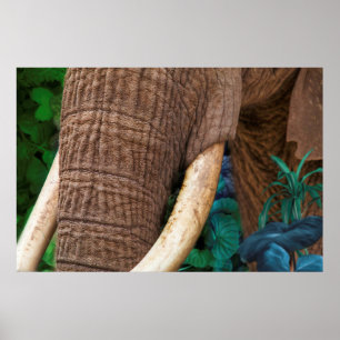 Poster Elephant Tend Mon Jardin