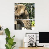 Poster Eléphant triste (Bureau à domicile)