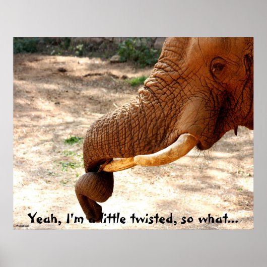 Poster éléphant tronqué tordu (Devant)