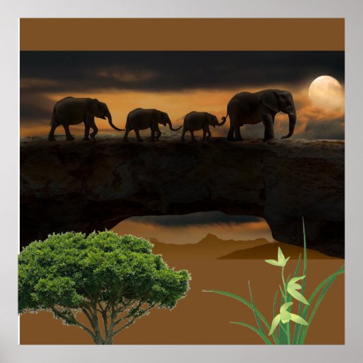Poster Éléphants (Devant)