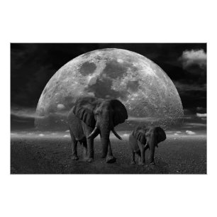 Poster Eléphants