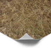 Poster Eléphants (Coin)