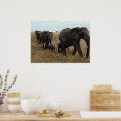 Poster Eléphants (Cuisine)