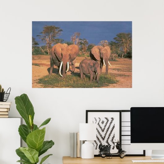Poster Eléphants (Bureau à domicile)