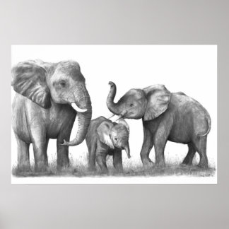 Poster Eléphants_3