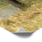 Poster Eléphants africains (Coin)