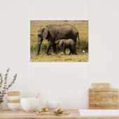 Poster Eléphants africains (Cuisine)