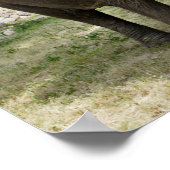 Poster Eléphants asiatiques côte à côte (Coin)