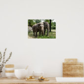 Poster Eléphants asiatiques côte à côte (Cuisine)