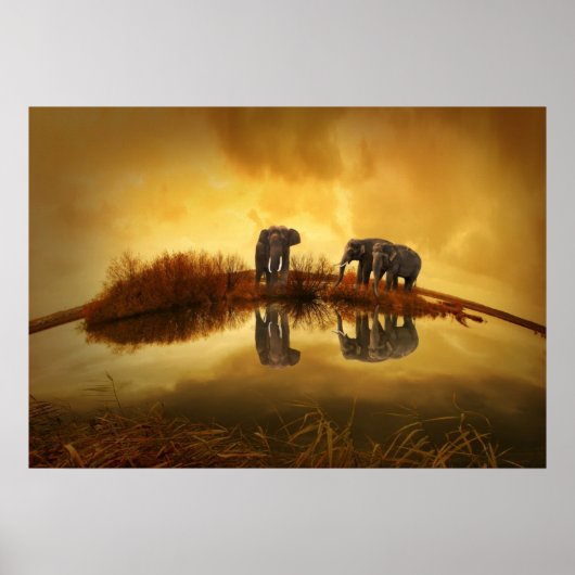 Poster Eléphants asiatiques en Thaïlande sous un coucher  (Devant)