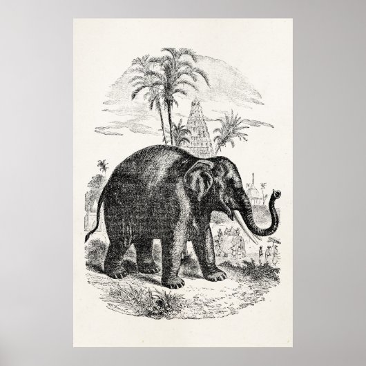 Poster Eléphants d'Asie vintage personnalisés (Devant)