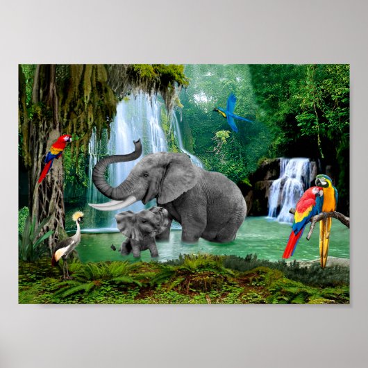 POSTER ÉLÉPHANTS DE LA FORÊT PLUIE (Devant)