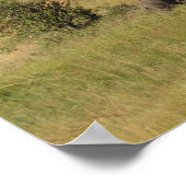 Poster Éléphants du KENYA errant (Coin)